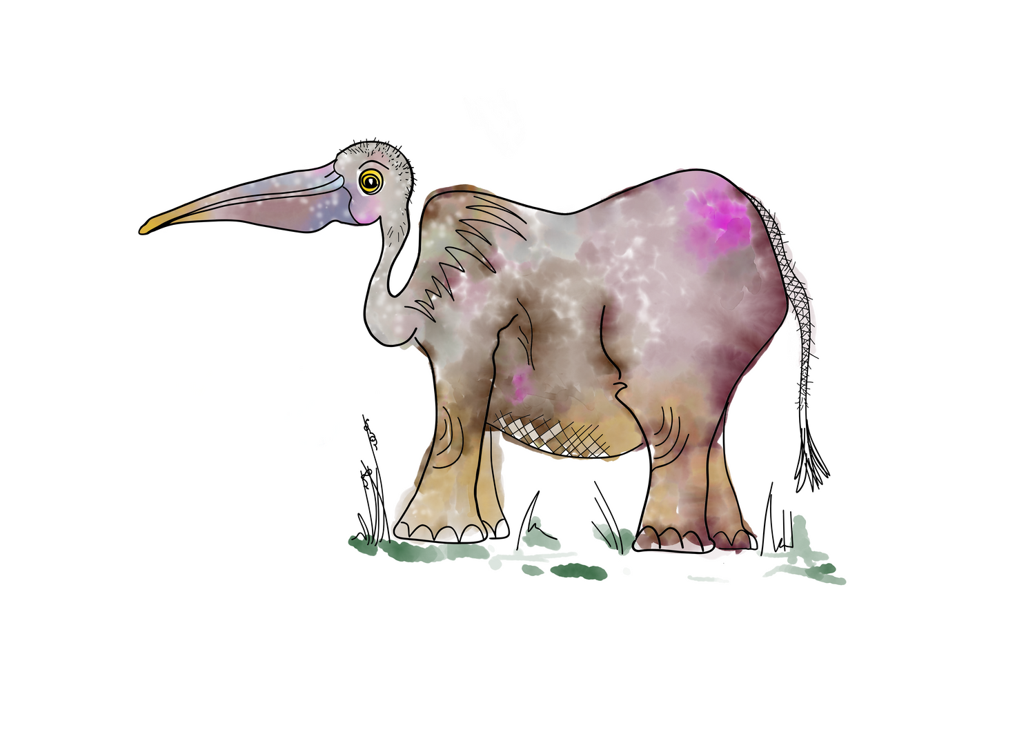 The Peliphant is a cross between an elephant and a Pelican that lives on the Mingus Peninsula on the fictional narrative world of Quasiland.