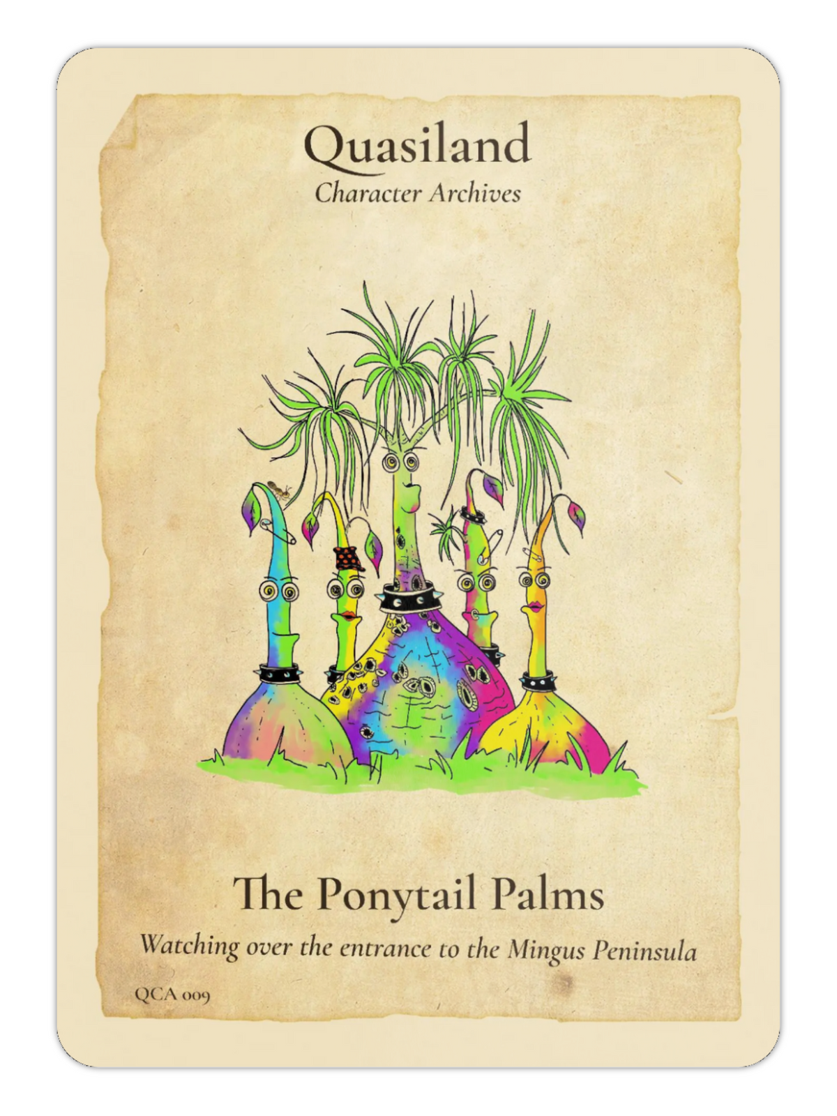 QCA-009 — The Ponytail Palms